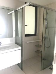 Skyline Residences (D4), Condominium #519024061